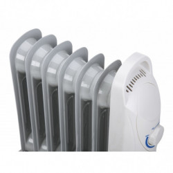 Radiateur bain d'huile 700 W