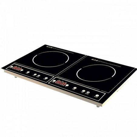 Plaque à induction 2 zones - 2000W + 1400W